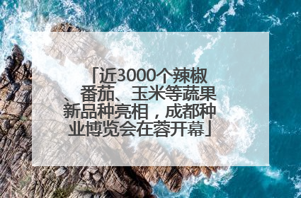 近3000个辣椒、番茄、玉米等蔬果新品种亮相，成都种业博览会在蓉开幕
