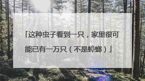 这种虫子看到一只，家里很可能已有一万只（不是蟑螂）