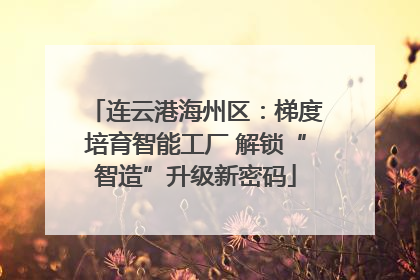 连云港海州区：梯度培育智能工厂 解锁“智造”升级新密码