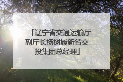 辽宁省交通运输厅副厅长杨树履新省交投集团总经理