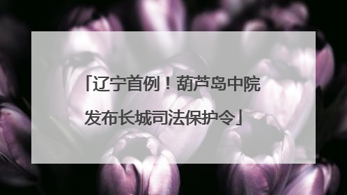 辽宁首例！葫芦岛中院发布长城司法保护令