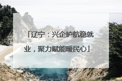 辽宁：兴企护航稳就业，聚力赋能暖民心