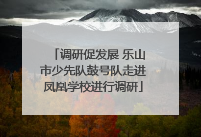 调研促发展 乐山市少先队鼓号队走进凤凰学校进行调研