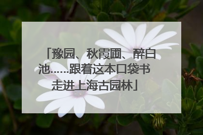 豫园、秋霞圃、醉白池……跟着这本口袋书走进上海古园林