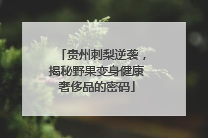 贵州刺梨逆袭，揭秘野果变身健康奢侈品的密码