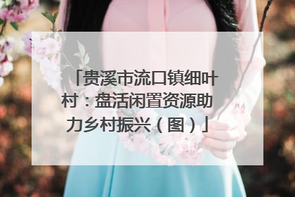 贵溪市流口镇细叶村：盘活闲置资源助力乡村振兴（图）