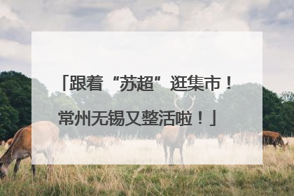 跟着“苏超”逛集市！常州无锡又整活啦！