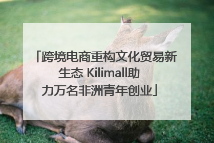 跨境电商重构文化贸易新生态 Kilimall助力万名非洲青年创业