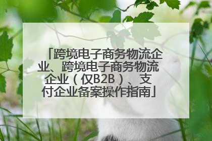 跨境电子商务物流企业、跨境电子商务物流企业（仅B2B）、支付企业备案操作指南