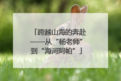 跨越山海的奔赴——从“杨老师”到“海河阿帕”
