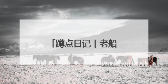 蹲点日记丨老船长“上岸”记