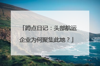 蹲点日记：头部航运企业为何聚集此地？