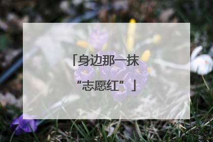 身边那一抹“志愿红”