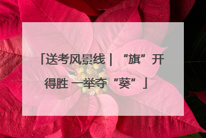 送考风景线｜“旗”开得胜 一举夺“葵”