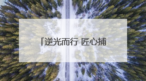 逆光而行 匠心捕韵——淄博高新区老年大学户外课堂解码光影美学密码