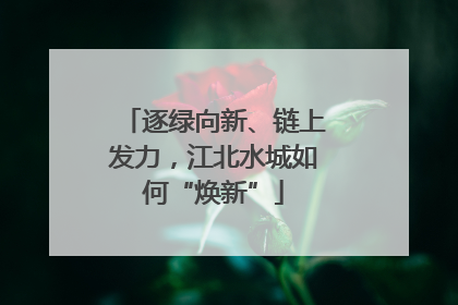 逐绿向新、链上发力，江北水城如何“焕新”