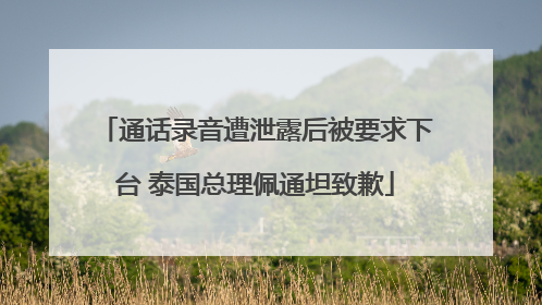 通话录音遭泄露后被要求下台 泰国总理佩通坦致歉