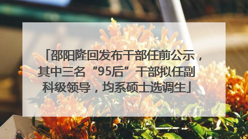 邵阳隆回发布干部任前公示，其中三名“95后”干部拟任副科级领导，均系硕士选调生