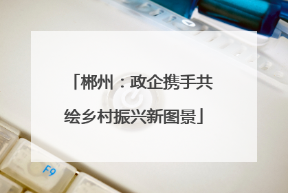 郴州：政企携手共绘乡村振兴新图景