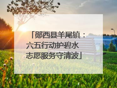 郧西县羊尾镇：六五行动护碧水 志愿服务守清波