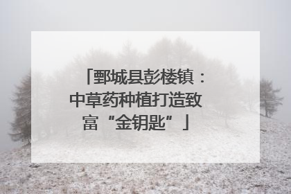 鄄城县彭楼镇：中草药种植打造致富“金钥匙”
