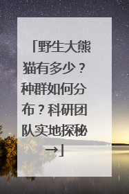 野生大熊猫有多少？种群如何分布？科研团队实地探秘→