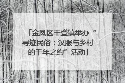 金凤区丰登镇举办“寻迹民俗：汉服与乡村的千年之约”活动