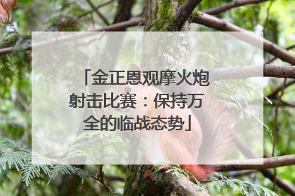 金正恩观摩火炮射击比赛：保持万全的临战态势