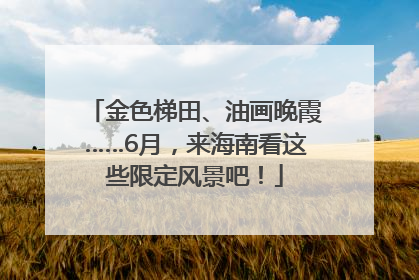 金色梯田、油画晚霞……6月，来海南看这些限定风景吧！