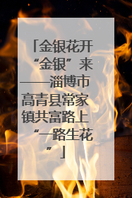 金银花开“金银”来——淄博市高青县常家镇共富路上“一路生花”