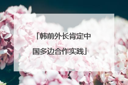韩前外长肯定中国多边合作实践