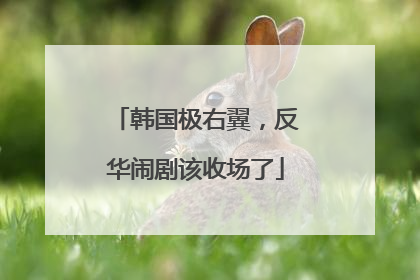 韩国极右翼，反华闹剧该收场了