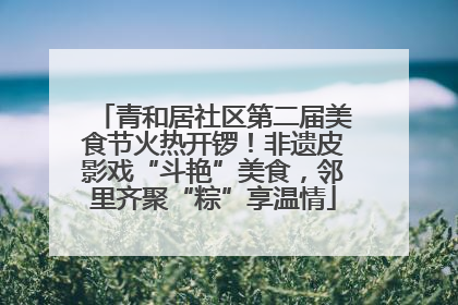 青和居社区第二届美食节火热开锣！非遗皮影戏“斗艳”美食，邻里齐聚“粽”享温情