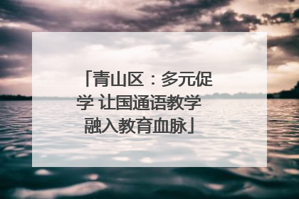 青山区：多元促学 让国通语教学融入教育血脉