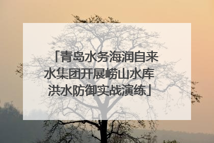 青岛水务海润自来水集团开展崂山水库洪水防御实战演练
