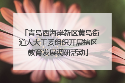 青岛西海岸新区黄岛街道人大工委组织开展辖区教育发展调研活动