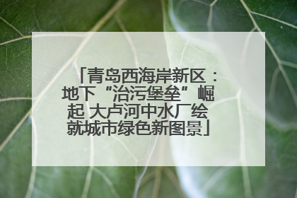 青岛西海岸新区：地下“治污堡垒”崛起 大卢河中水厂绘就城市绿色新图景