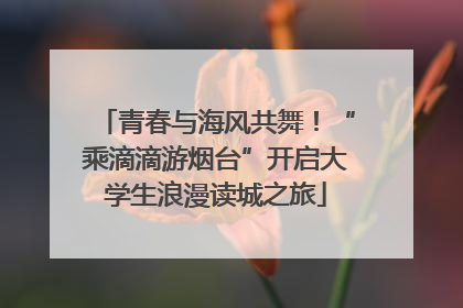 青春与海风共舞！“乘滴滴游烟台”开启大学生浪漫读城之旅