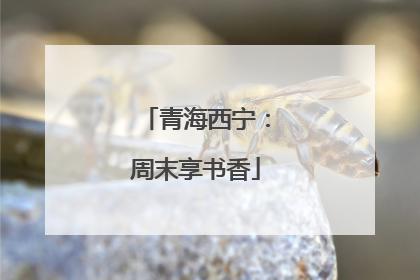 青海西宁：周末享书香