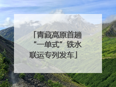 青藏高原首趟“一单式”铁水联运专列发车