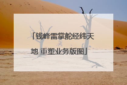 钱峰雷掌舵经纬天地 重塑业务版图