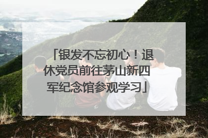 银发不忘初心！退休党员前往茅山新四军纪念馆参观学习