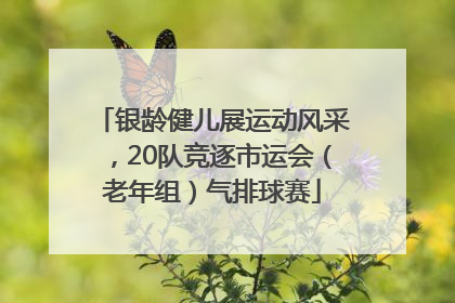 银龄健儿展运动风采，20队竞逐市运会（老年组）气排球赛