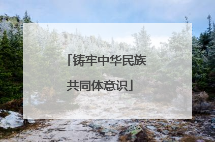 铸牢中华民族共同体意识