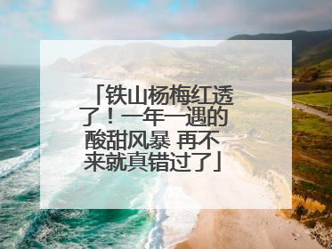 铁山杨梅红透了！一年一遇的酸甜风暴 再不来就真错过了