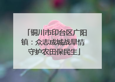 铜川市印台区广阳镇：众志成城战旱情 守护农田保民生