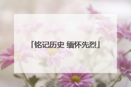 铭记历史 缅怀先烈