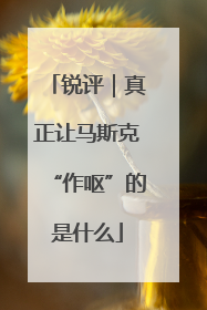 锐评｜真正让马斯克“作呕”的是什么