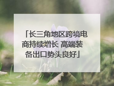 长三角地区跨境电商持续增长 高端装备出口势头良好