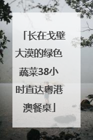 长在戈壁大漠的绿色蔬菜38小时直达粤港澳餐桌